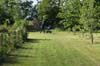 DSC00777
